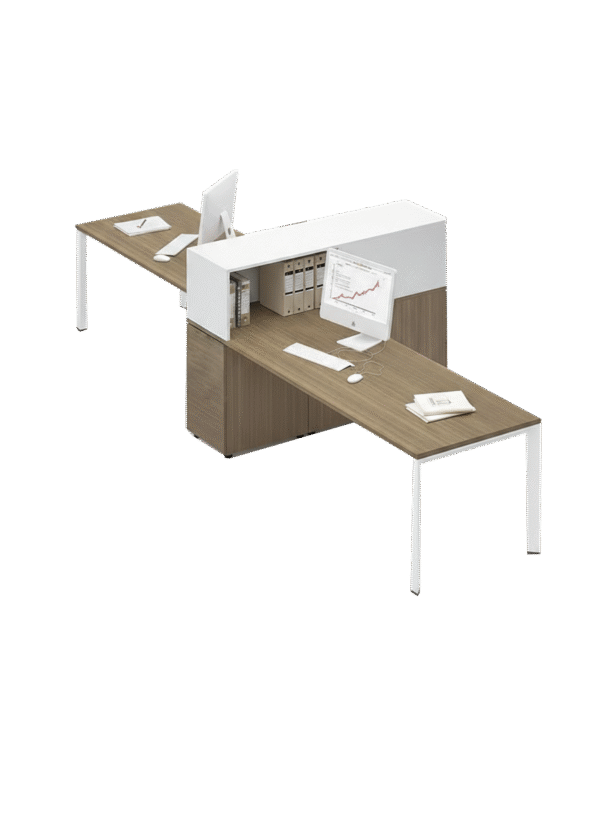 Workstation 2 perosn